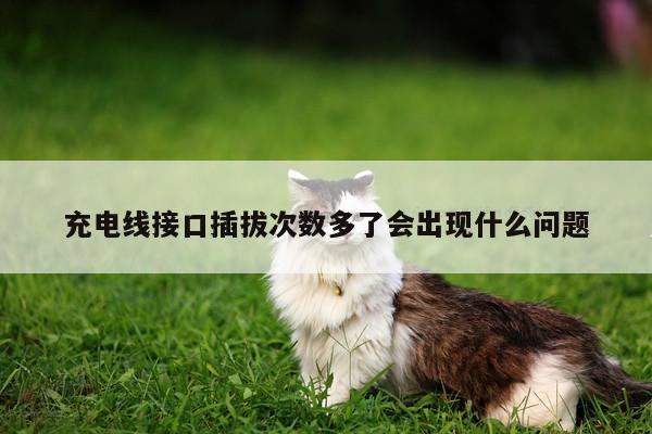 充电线接口插拔次数多了会出现什么问题:B体育官网