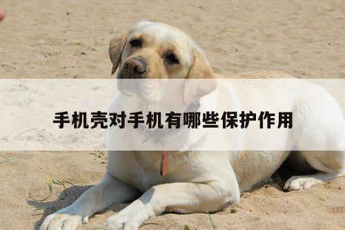 B体育官网_手机壳对手机有哪些保护作用
