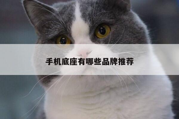 手机底座有哪些品牌推荐【B体育官网】
