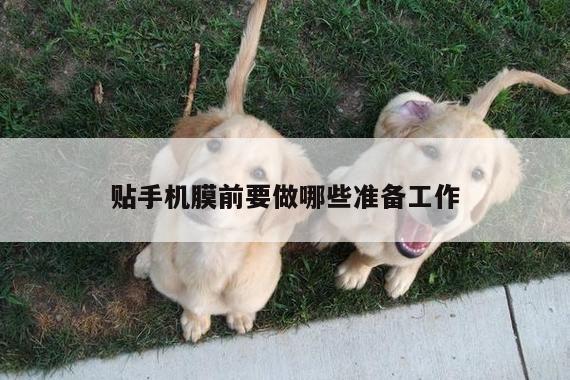 贴手机膜前要做哪些准备工作|B体育官网