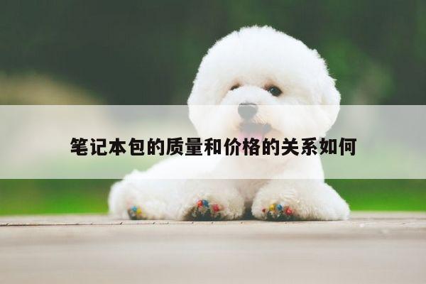 B体育官网|笔记本包的质量和价格的关系如何
