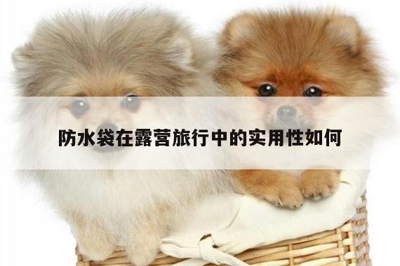 防水袋在露营旅行中的实用性如何-Bsprots官网登录