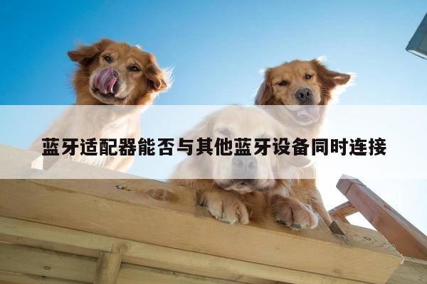 蓝牙适配器能否与其他蓝牙设备同时连接|B体育