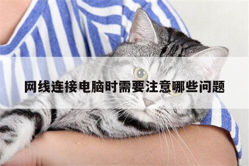 网线连接电脑时需要注意哪些问题|B体育官网