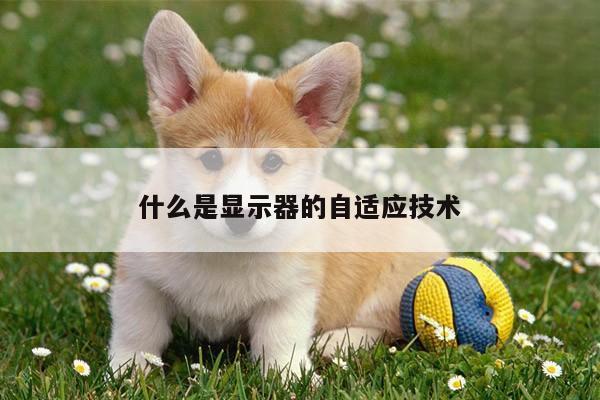 【B体育官网】什么是显示器的自适应技术