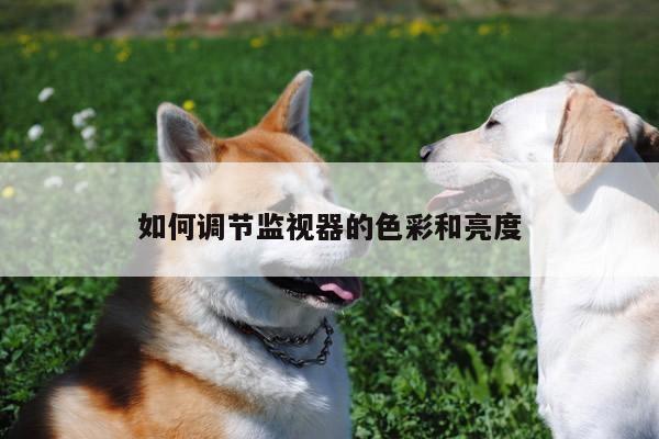 Bsprots官网登录-如何调节监视器的色彩和亮度