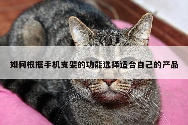 Bsprots官网登录_如何根据手机支架的功能选择适合自己的产品