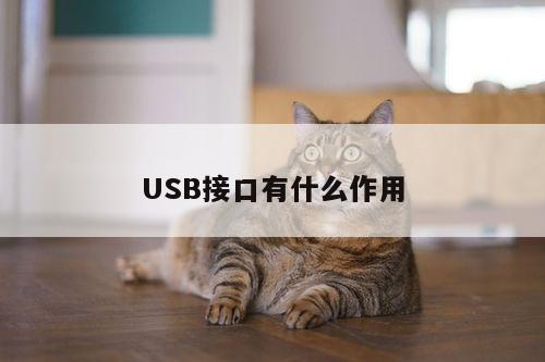 B体育|USB接口有什么作用