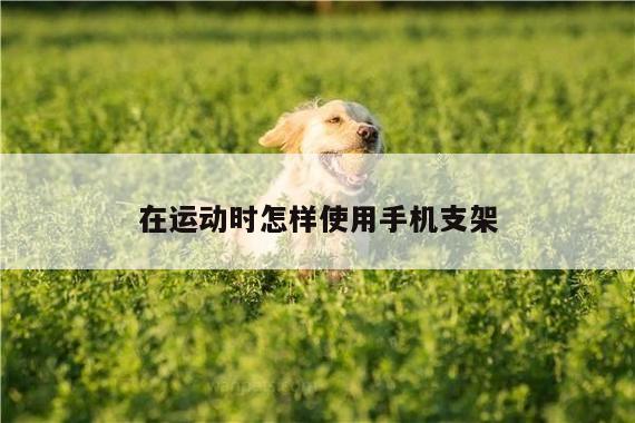 在运动时怎样使用手机支架:B体育